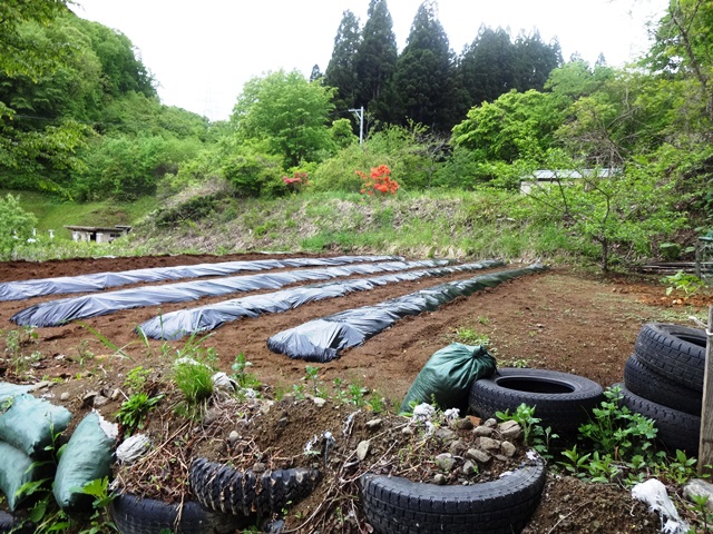 滝沢市大釜白山50-72