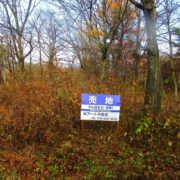 八幡平市松尾寄木第1地割561-14