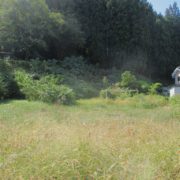 盛岡市東桜山246-2、246-1